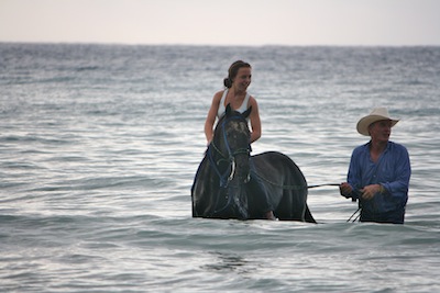 St Croix Activities - St Croix Horseback riding