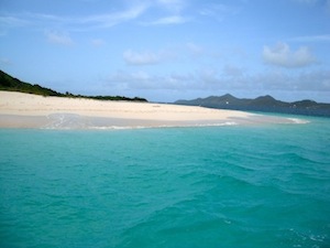 Best Caribbean Island - Buck Island snorkeling