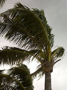 Caribbean Hurricane Season