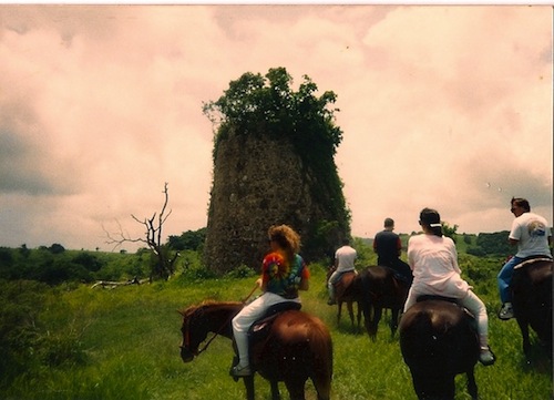 St Croix Horseback riding