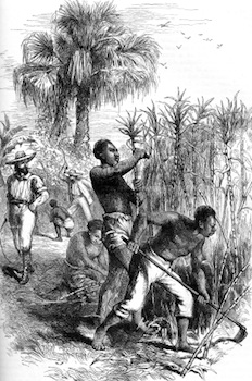 Caribbean History Slavery