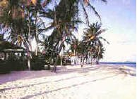 Pelican Cove Beach St. Croix